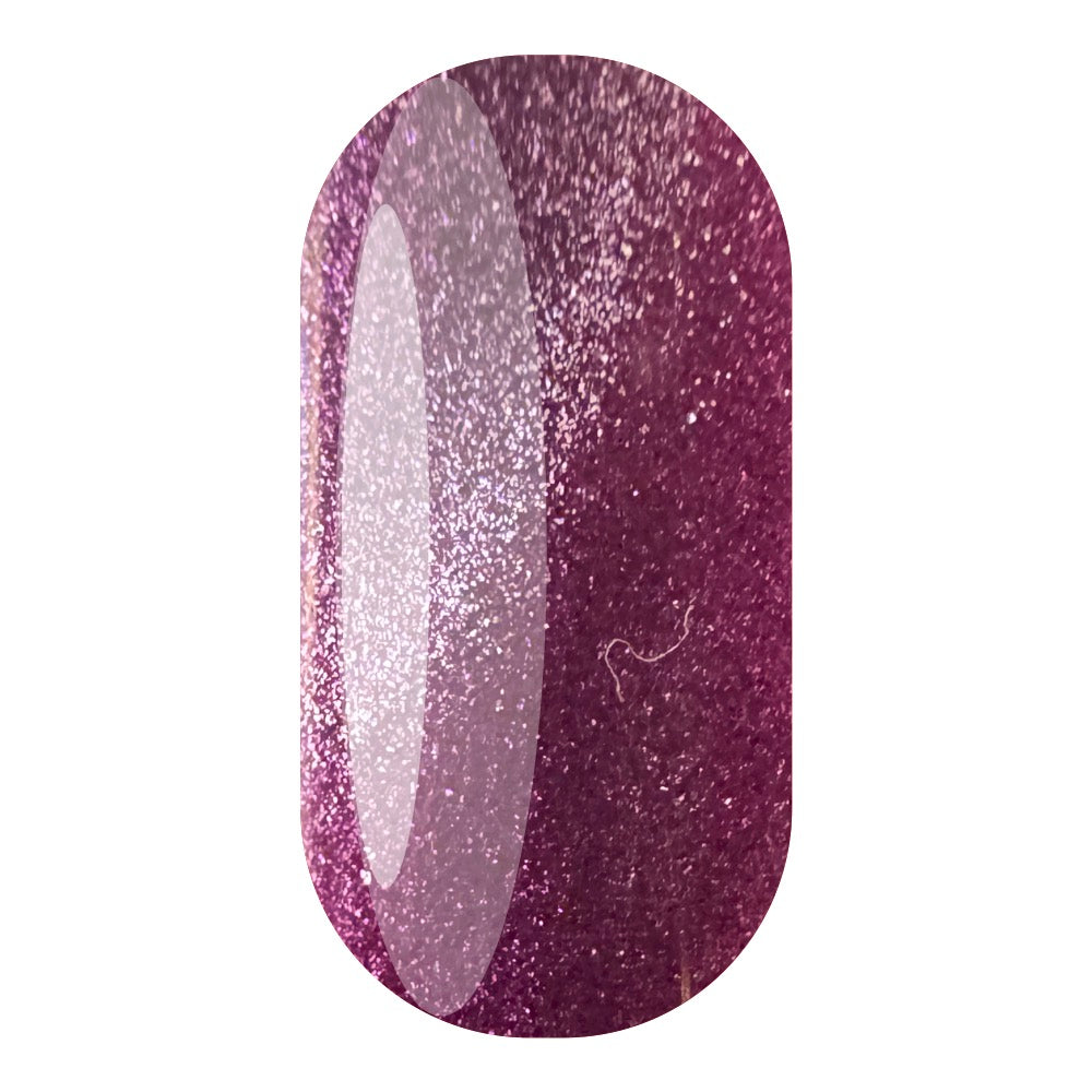 Hazel Dixon Nails Ltd