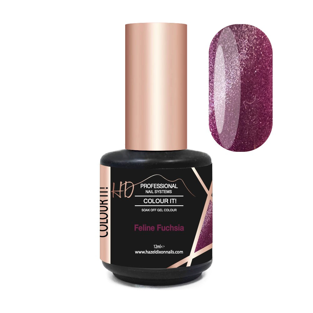 Hazel Dixon Nails Ltd