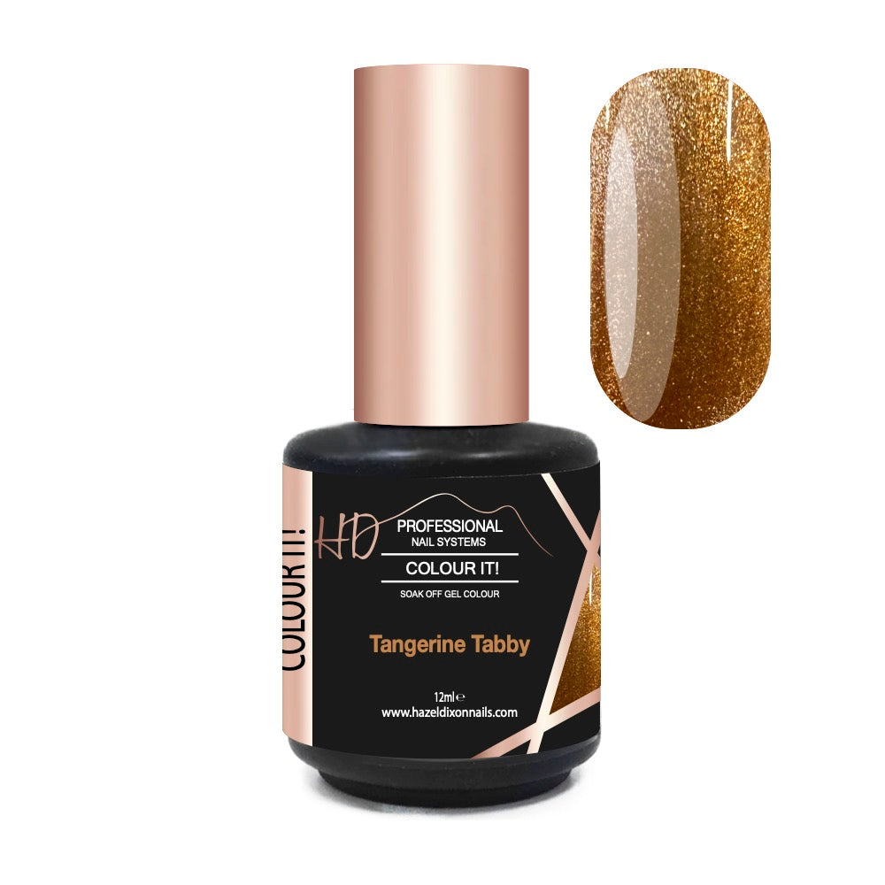 Colour It! Magneteyes Jellies Collection