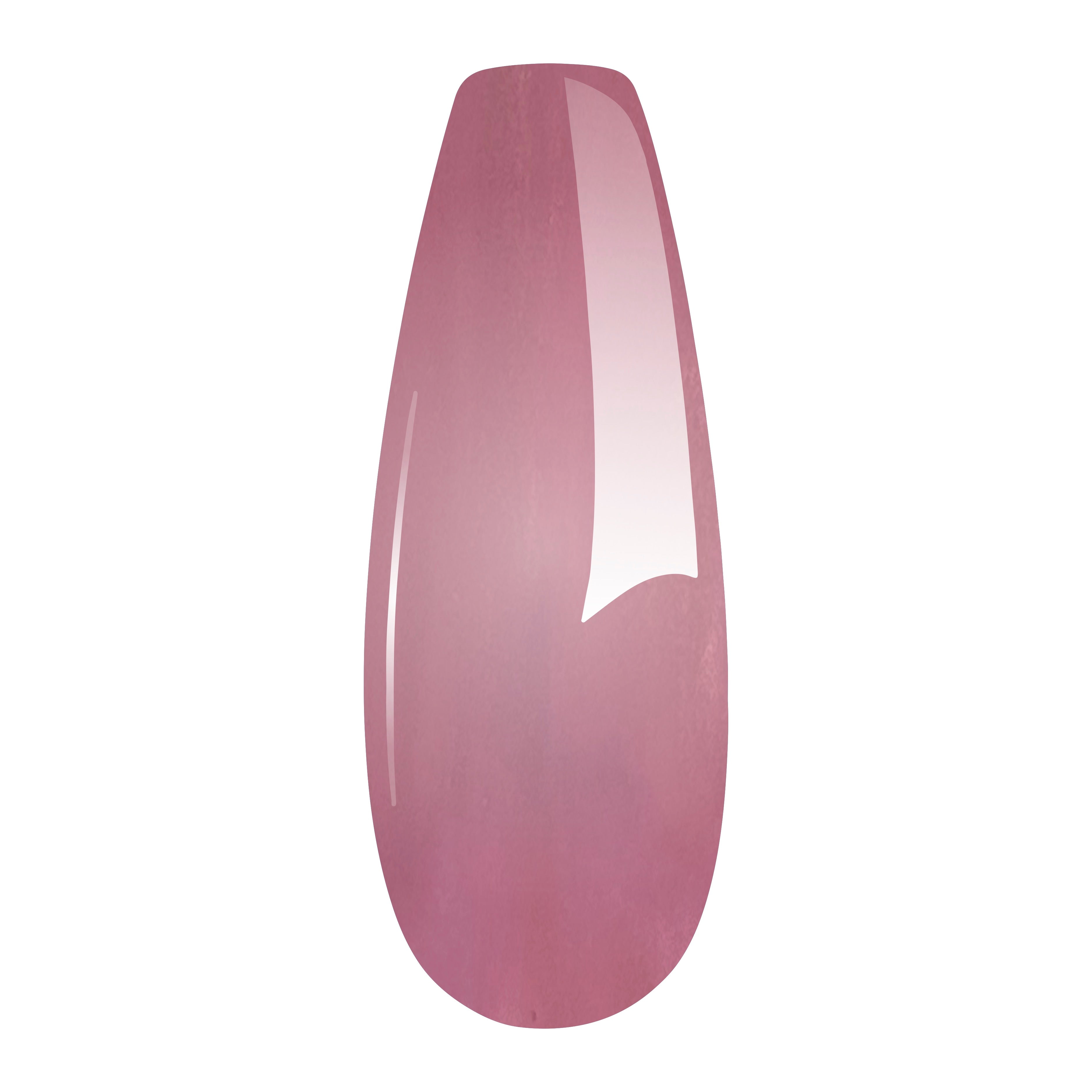 HD Pro Candy Shop - Laffy Taffy