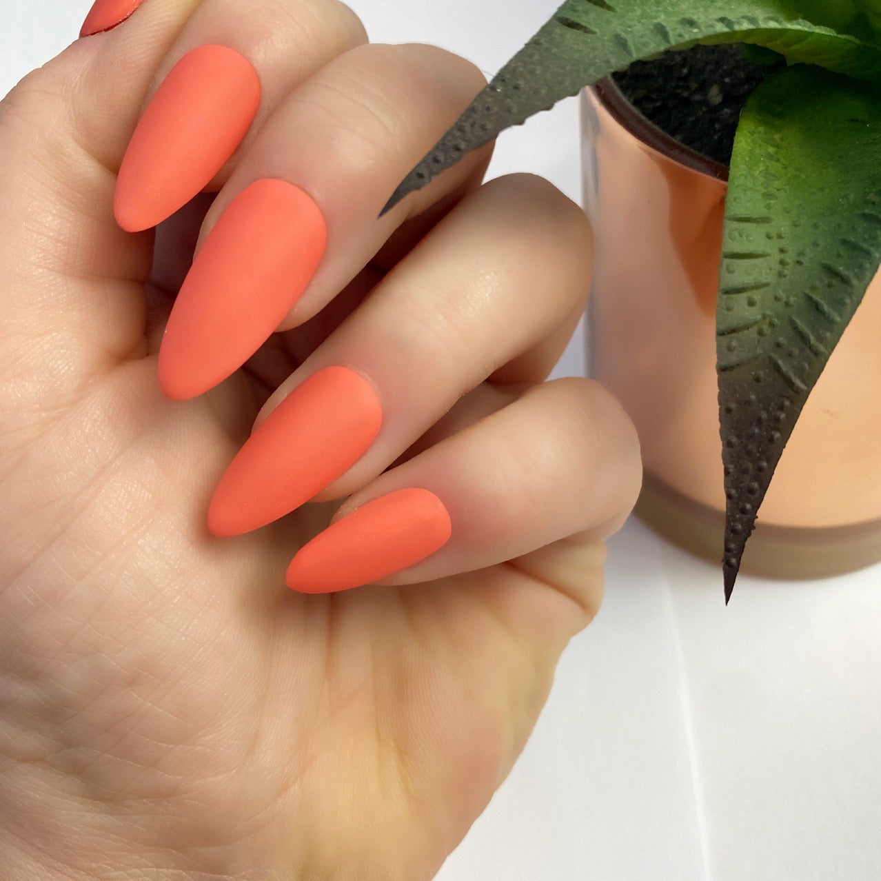 HD Colour It! Coral