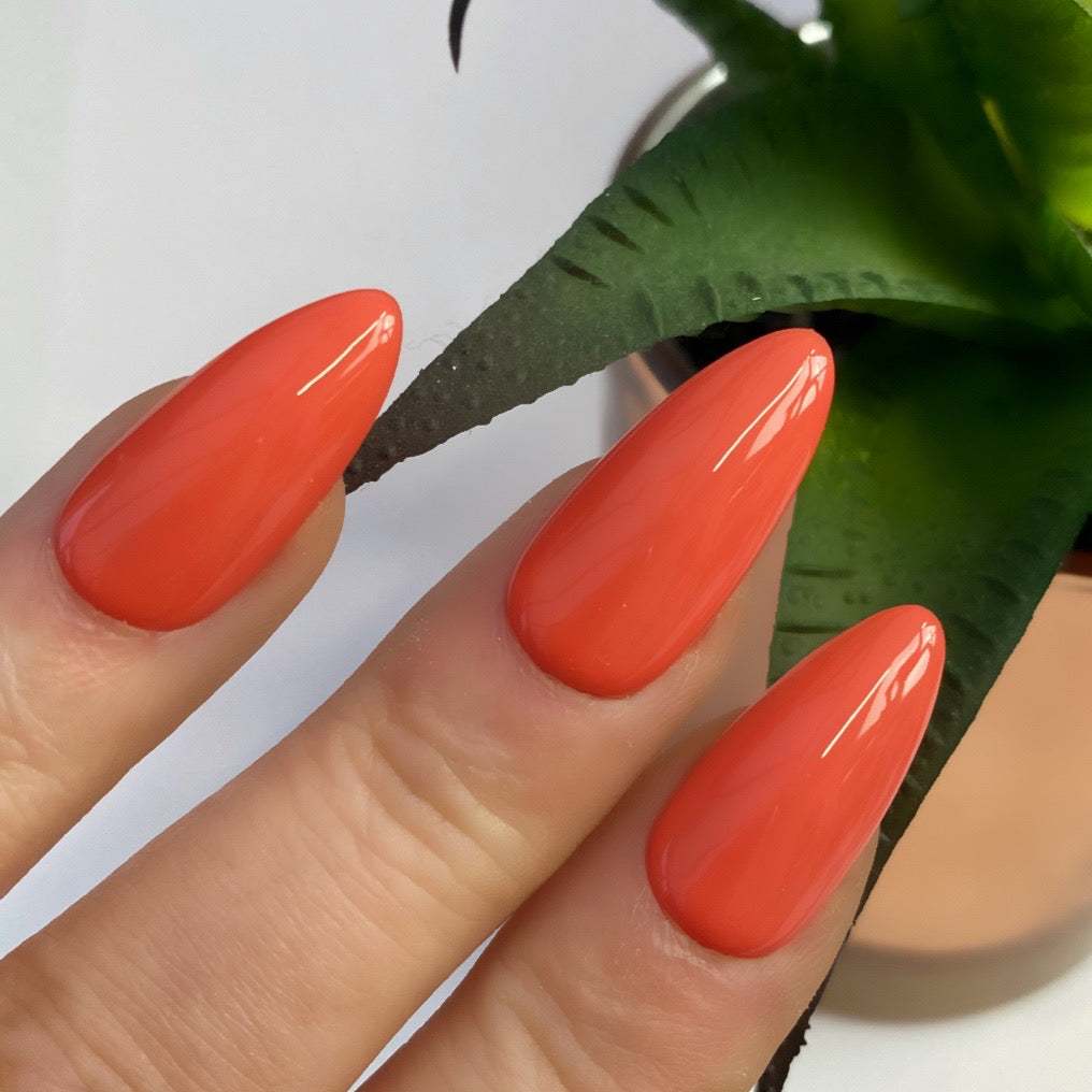 HD Colour It! Coral