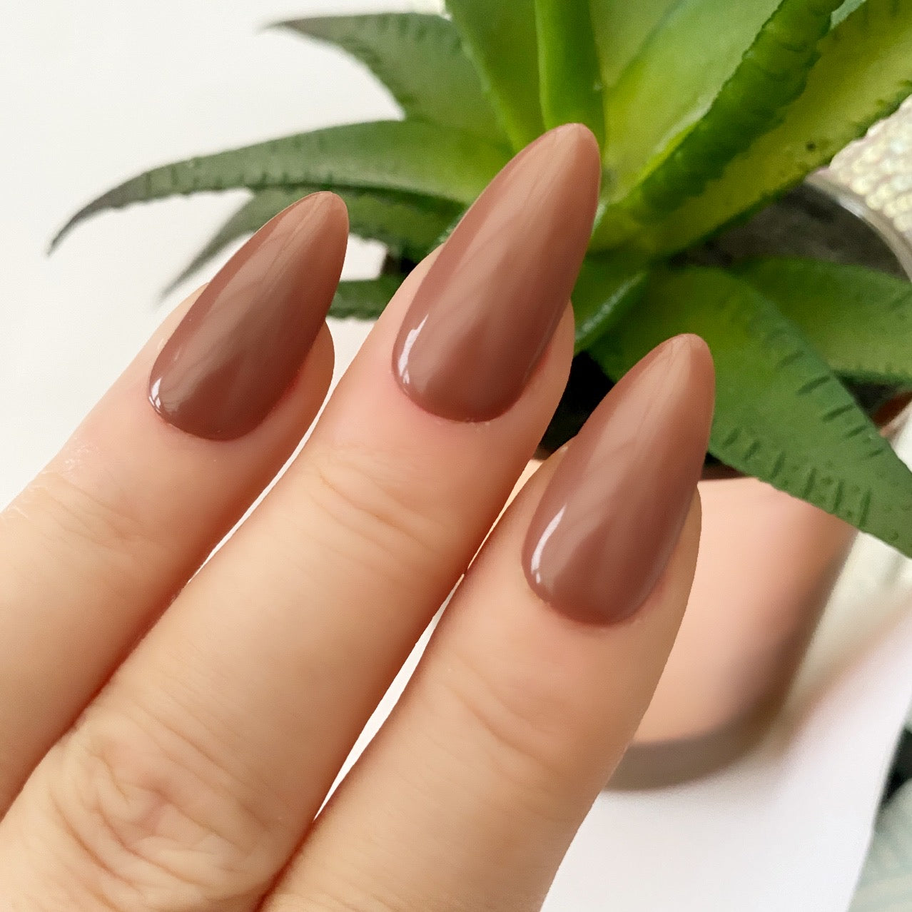 HD Colour It! Coconut