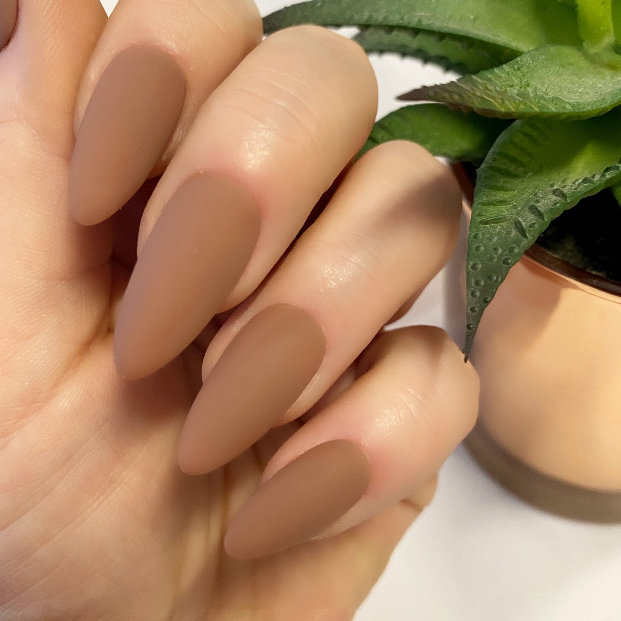 HD Colour It! Coconut