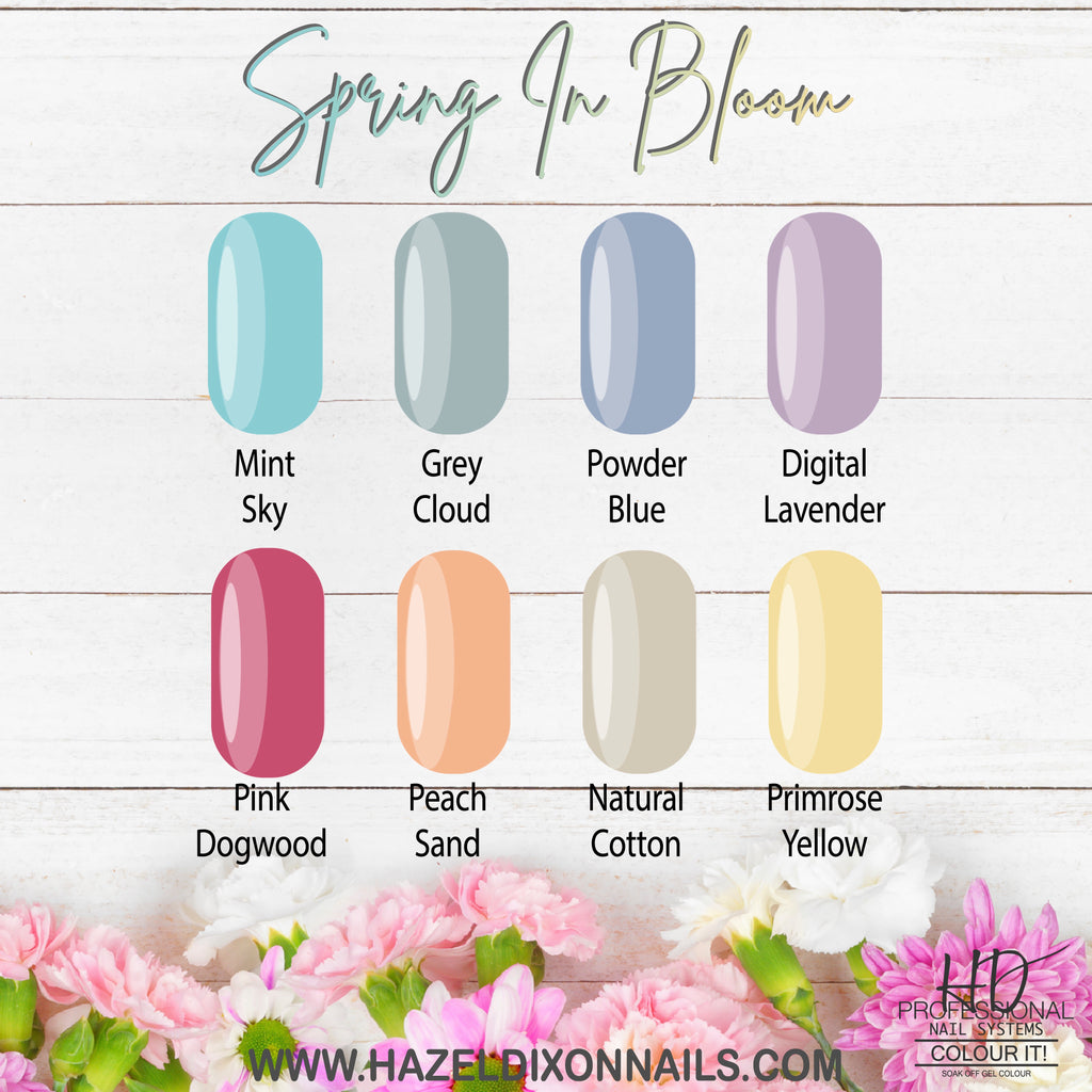 Colour It! Spring in Bloom Collection