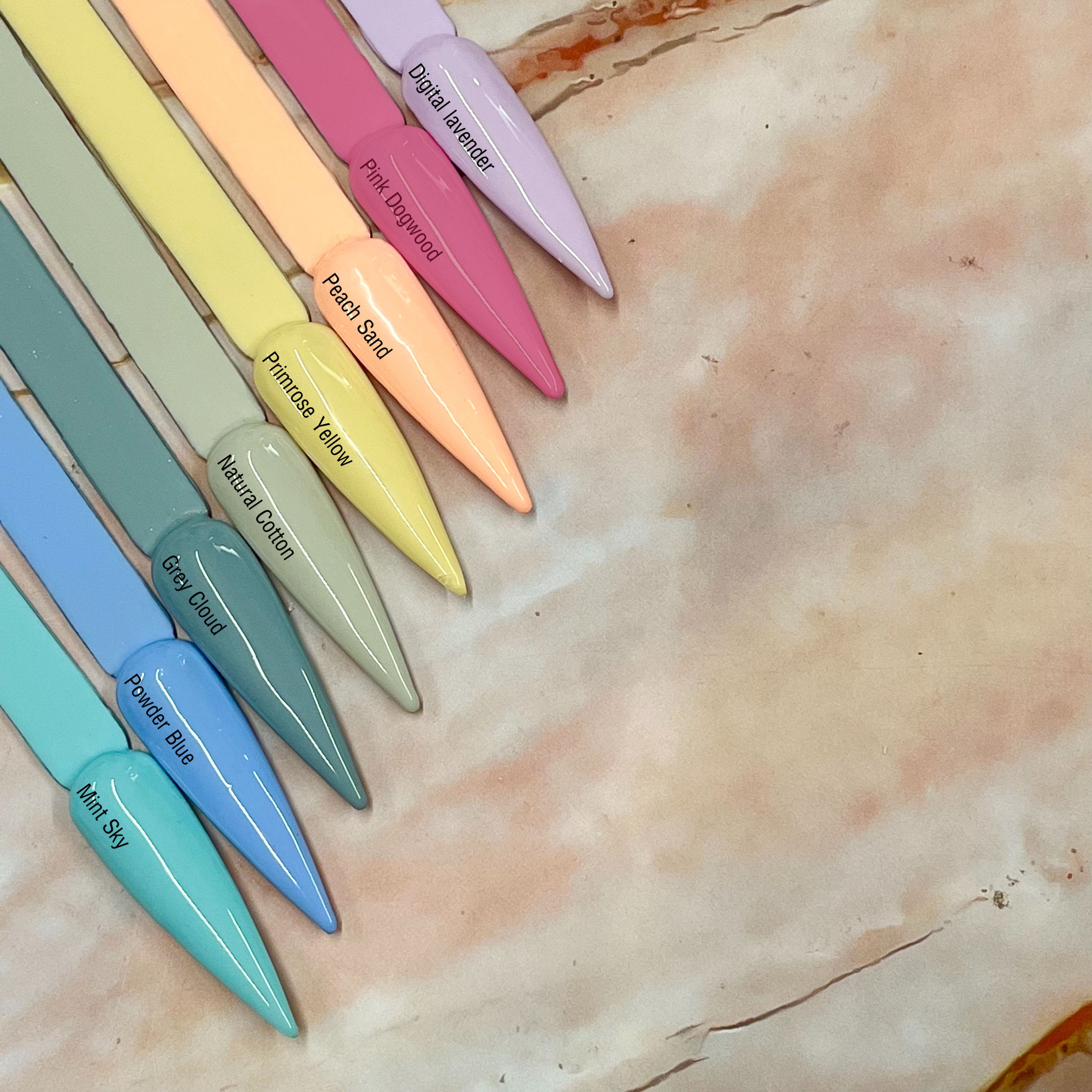 Colour It! Pink Dogwood