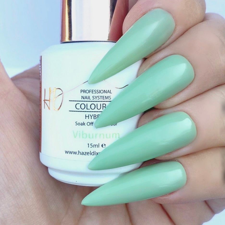 HD Colour It! HYBRID - Viburnum