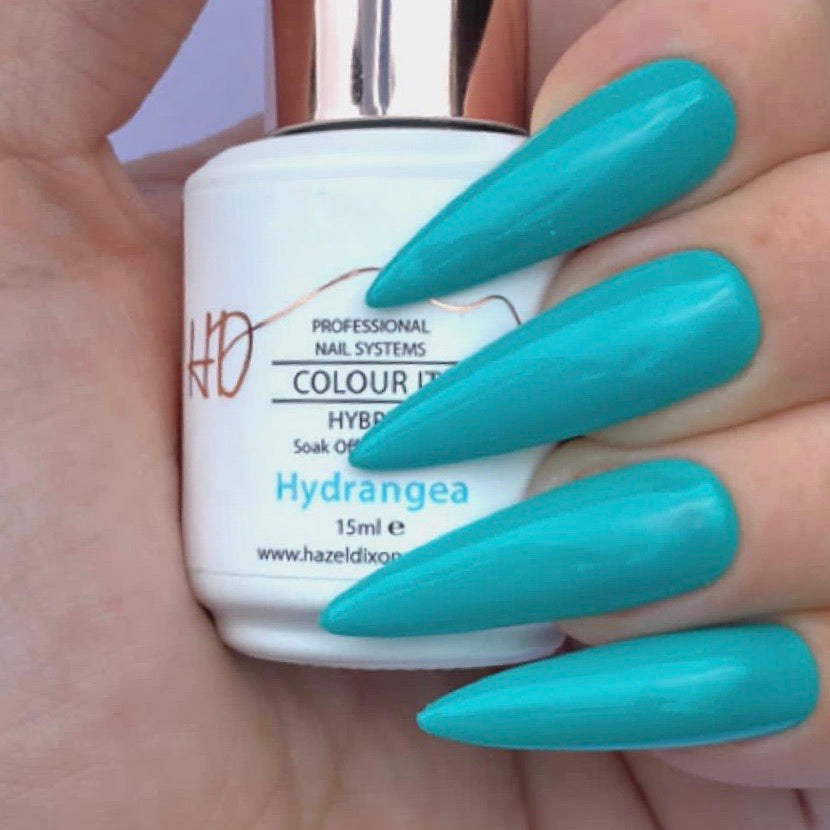 HD Colour It! HYBRID - Hydrangea