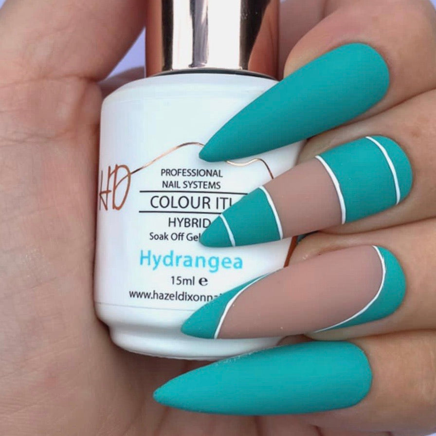 HD Colour It! HYBRID - Hydrangea