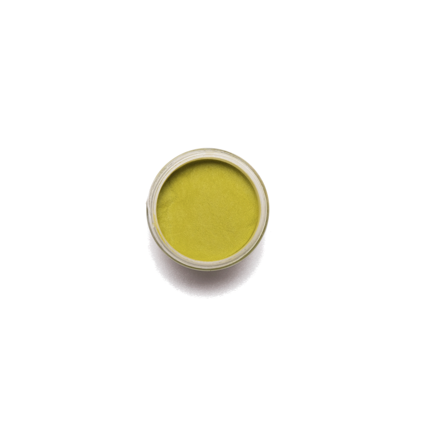 HD Pro Leading Ladies - Judy