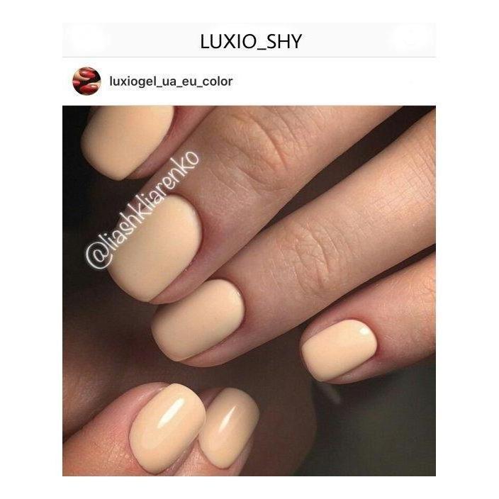 Luxio Shy