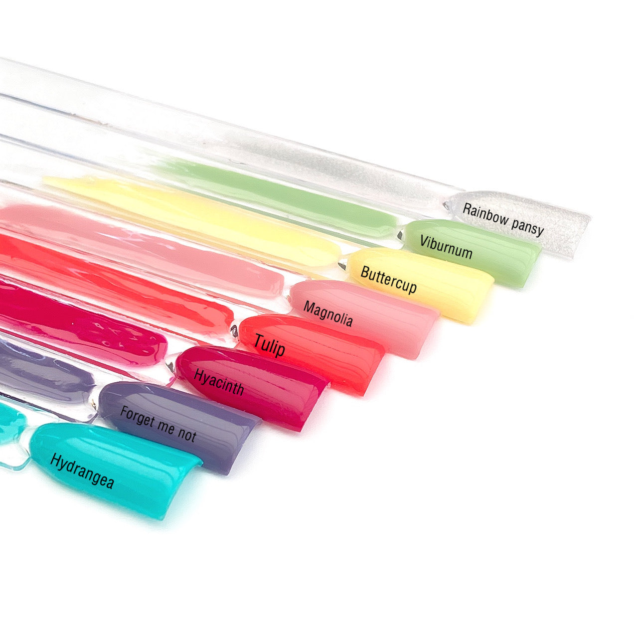 HD Colour It! HYBRID - Forget Me Not